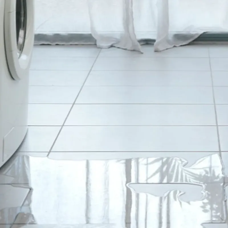 Appliance Leak Cleanup in Lamar County, GA