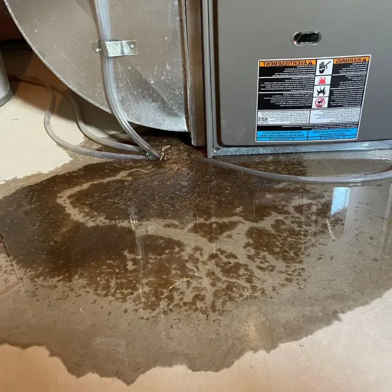 Pipe Burst and Leak Restoration in Lamar County, GA
