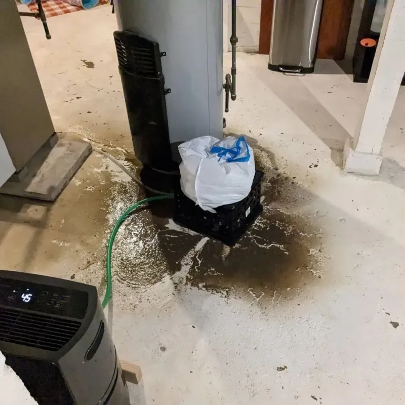 Sewage Backup Cleanup Service in Lamar County, GA